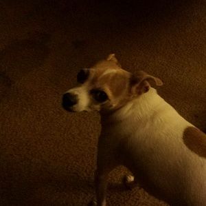 Meet your Posher, Jeanette